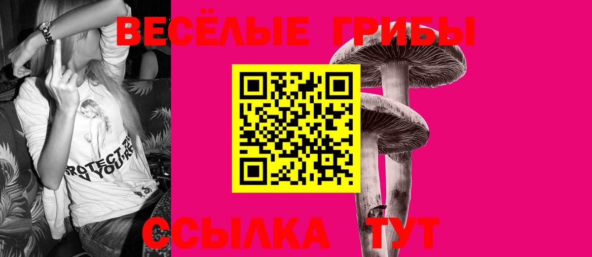 Псилоцибиновые грибы мухоморы Елабуга